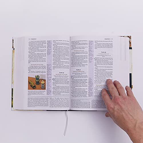 KJV, The King James Study Bible, Genuine Leather, Black, Red Letter, Full-Color Edition: Holy Bible, King James Version