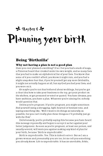 The Positive Birth Book: A New Approach to Pregnancy, Birth and the Early Weeks