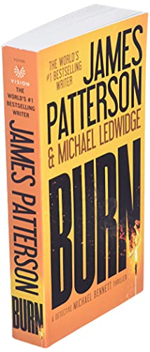 Burn (A Michael Bennett Thriller, 7)