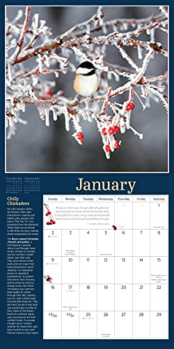 Audubon Birds in the Garden Wall Calendar 2022