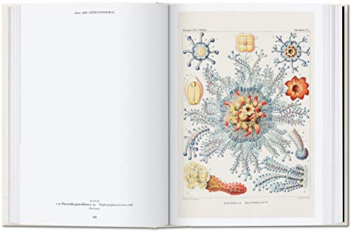 The Art and Science of Ernst Haeckel. 40th Ed.