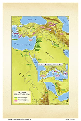 The KJV Study Bible: Atlas Edition [Wildflower Bouquet Thumb Indexed]