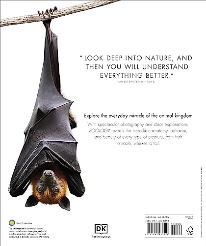 Zoology: Inside the Secret World of Animals (DK Secret World Encyclopedias)