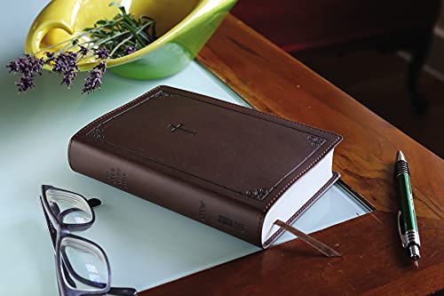 NIV, Teen Study Bible, Compact, Leathersoft, Brown