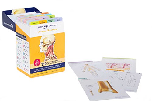 Anatomy Flashcards