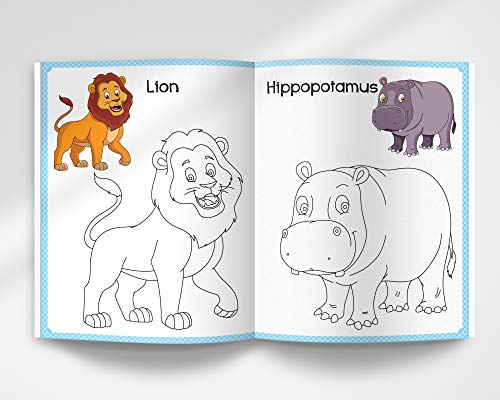 101 Copy Coloring (101 Fun Activities)