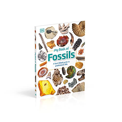 My Book of Fossils: A fact-filled guide to prehistoric life