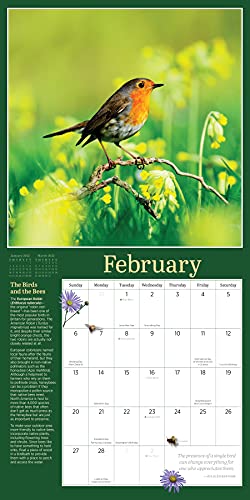 Audubon Birds in the Garden Wall Calendar 2022