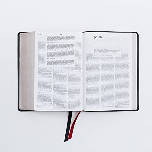 NET Bible, Full-notes Edition, Leathersoft, Teal, Comfort Print: Holy Bible