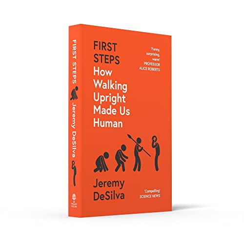 First Steps: How Walking Upright Made Us Human