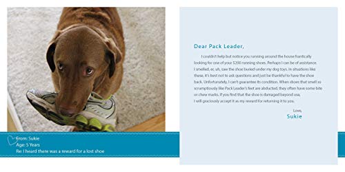 Sorry I Pooped in Your Shoe (and Other Heartwarming Letters from Doggie)