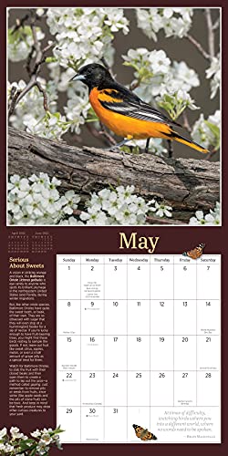 Audubon Birds in the Garden Wall Calendar 2022