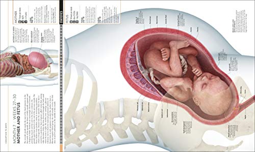 The Science of Pregnancy: The complete illustrated guide from conception to birth