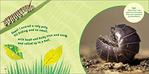 The Backyard Bug Book for Kids: Storybook, Insect Facts, and Activities (Let's Learn About Bugs and Animals)