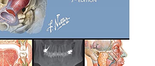 Netter's Head and Neck Anatomy for Dentistry (Netter Basic Science)