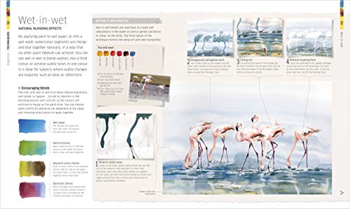 Watercolour Techniques for Artists and Illustrators: Discover how to paint landscapes, people, still lifes, and more.