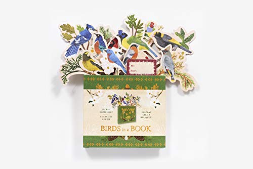 Birds in a Book (UpLifting Editions): Jacket Comes Off. Branches Pop Up. Display Like a Bouquet!