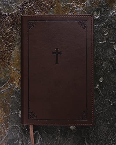 NIV, Teen Study Bible, Compact, Leathersoft, Brown