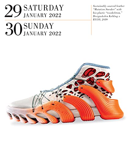 Shoes Page-A-Day Gallery Calendar 2022: A Tribute to the World's Most Amazing Footwear