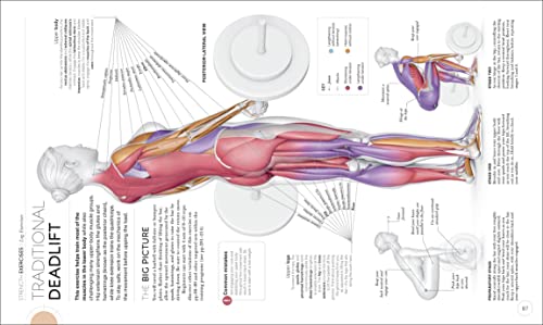 Science of Strength Training: Understand the anatomy and physiology to transform your body (DK Science of)