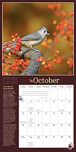 Audubon Birds in the Garden Wall Calendar 2022