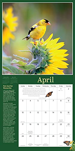 Audubon Birds in the Garden Wall Calendar 2022