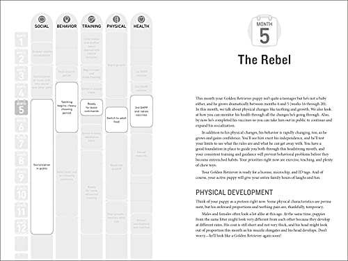 Your Golden Retriever Puppy Month by Month: Everything You Need to Know at Each Stage to Ensure Your Cute and Playful Puppy (Your Puppy Month by Month)