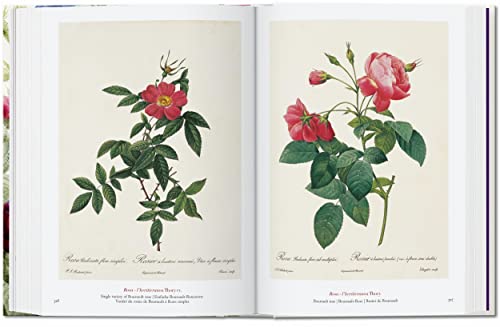 Redouté. Book of Flowers: The Complete Plates