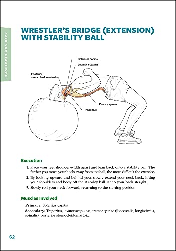 Cycling Anatomy