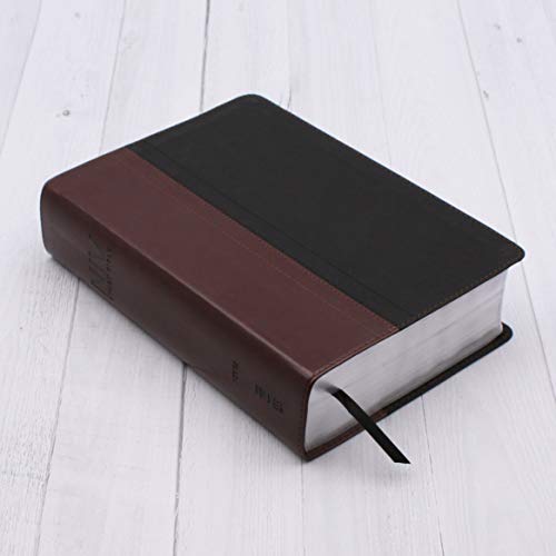 NIV Study Bible, Leathersoft, Brown/Black, Red Letter Edition