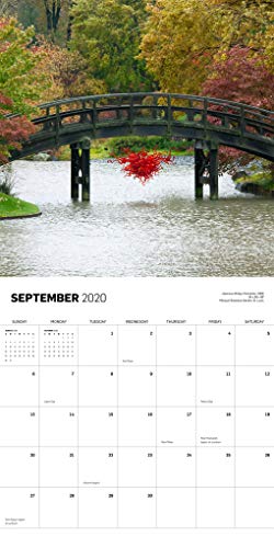 Chihuly 2020 Wall Calendar