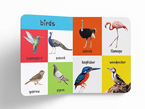 My First 4 In 1 One Wild Animals, Pet and Farm Animals, Birds, Sea Animals: Padded Board Books