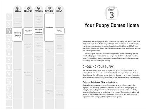 Your Golden Retriever Puppy Month by Month: Everything You Need to Know at Each Stage to Ensure Your Cute and Playful Puppy (Your Puppy Month by Month)