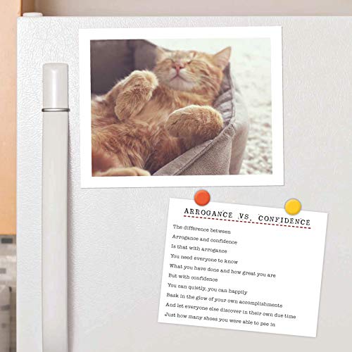 I Could Pee on This 2021 Wall Calendar: (Funny Cat Calendar, Monthly Calendar with Hilarious Kitty Pictures and Poems)