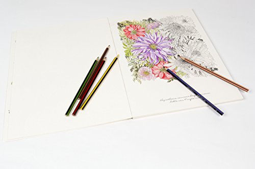 Floribunda: A Flower Coloring Book