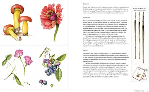 The Joy of Botanical Drawing: A Step-by-Step Guide to Drawing and Painting Flowers, Leaves, Fruit, and More