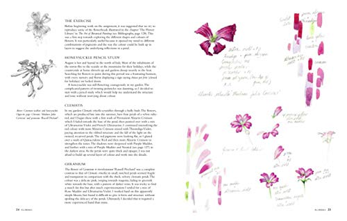 Botanical Sketchbook: Drawing, Painting And Illustration For Botanical Artists