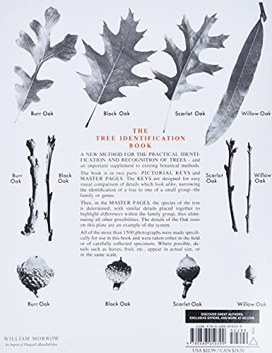 Tree Identification Book : A New Method for the Practical Identification and Recognition of Trees