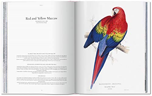 Edward Lear. The Parrots. The Complete Plates