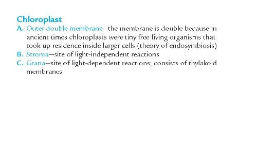 Barron's AP Biology Flash Cards