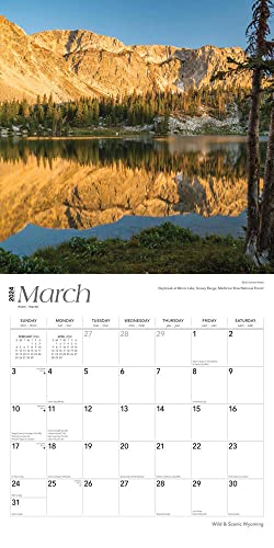 Wyoming Wild & Scenic | 2024 12 x 24 Inch Monthly Square Wall Calendar | BrownTrout | USA United States of America Midwest State Nature