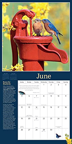 Audubon Birds in the Garden Wall Calendar 2022