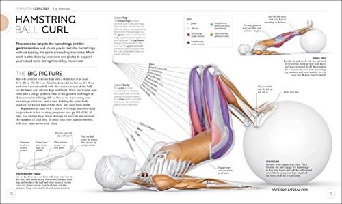 Science of Strength Training: Understand the anatomy and physiology to transform your body (DK Science of)