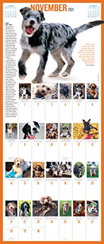 365 Puppies-A-Year Picture-A-Day Wall Calendar 2021