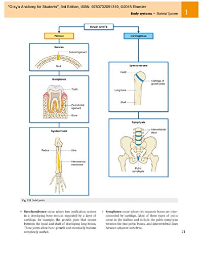 Gray's Anatomy for Students: With Student Consult Online Access