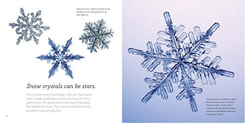 The Story of Snow: The Science of Winter's Wonder