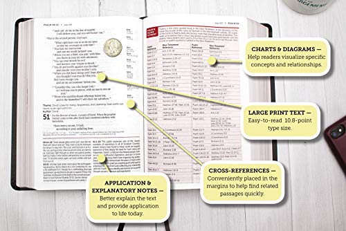 NIV, Life Application Study Bible, Third Edition, Large Print, Leathersoft, Brown, Red Letter, Thumb Indexed