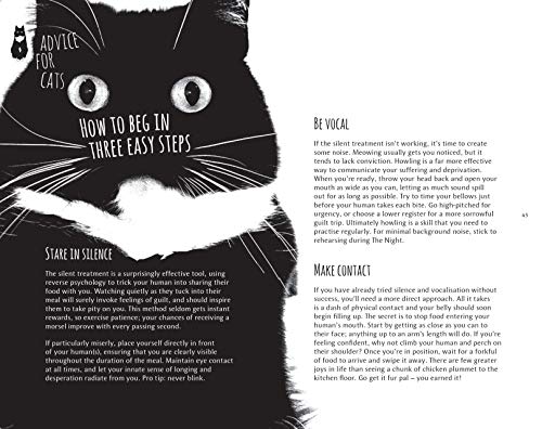 The Adventures of a Curious Cat: wit and wisdom from Curious Zelda, purrfect for cats and their humans