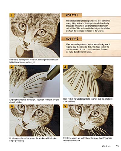 Woodburning Realistic Animals: 12 Step-by-Step Pyrography Projects of Birds, Pets, and Wildlife (Fox Chapel Publishing) Tutorials for Eyes, Fur, Manes, & Whiskers; Projects for Big Cats, Owls, & More