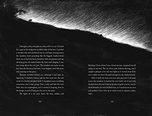 The Ocean at the End of the Lane (Illustrated Edition)